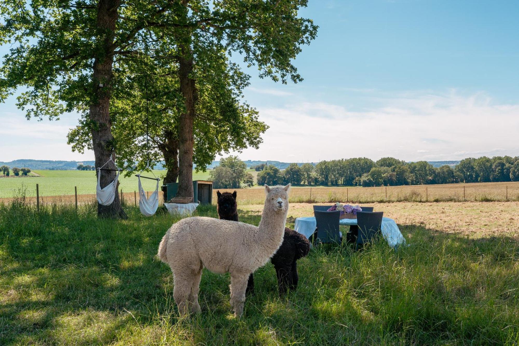 Demeures & Chateaux Le Clos Luly Neulliac Buitenkant foto